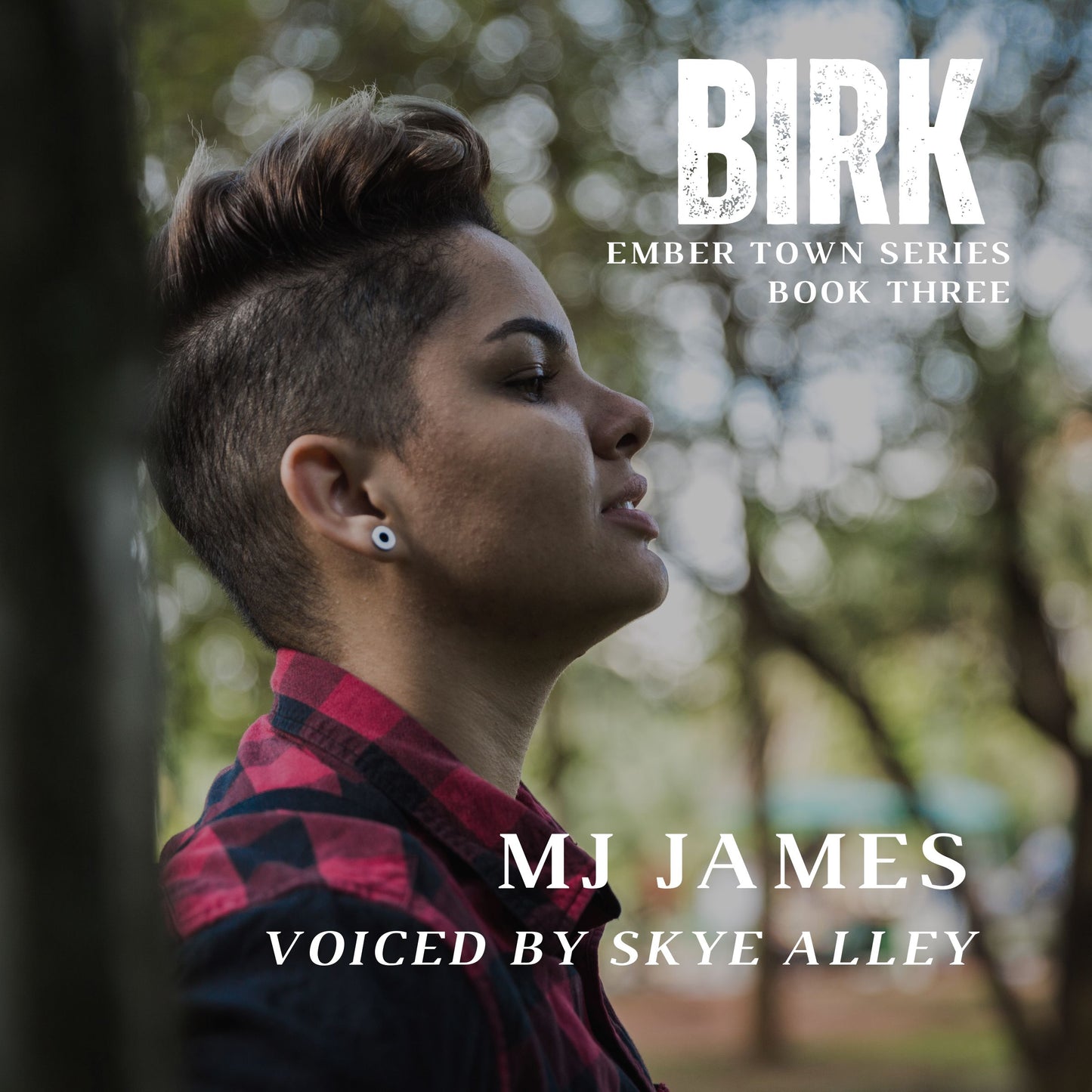 Birk Audiobook (Book Three - Ember Town Series)